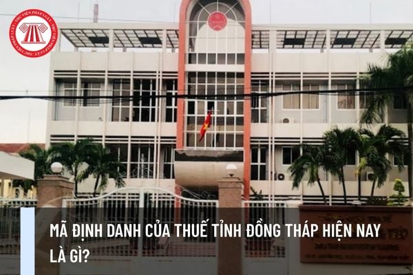 Pháp luật