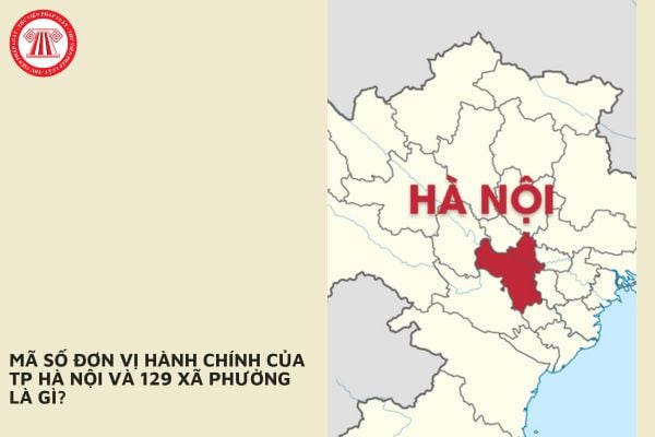 Pháp luật