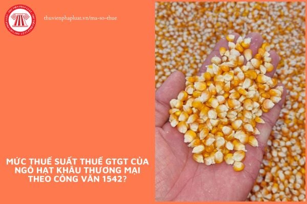 Mức thuế suất thuế GTGT của ngô hạt khâu thương mại theo Công văn 1542?