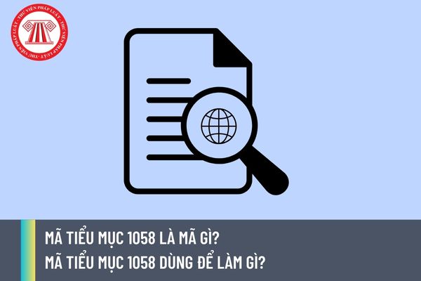 Mã tiểu mục 1058 là mã gì? Mã tiểu mục 1058 dùng để làm gì?