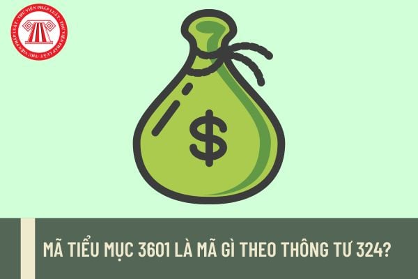 Pháp luật