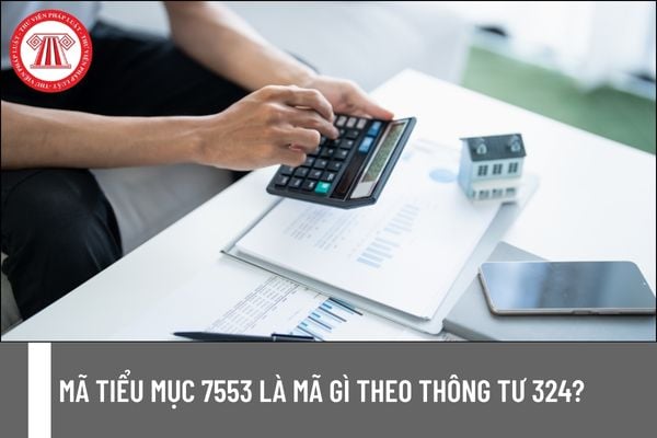Pháp luật