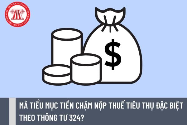 Pháp luật