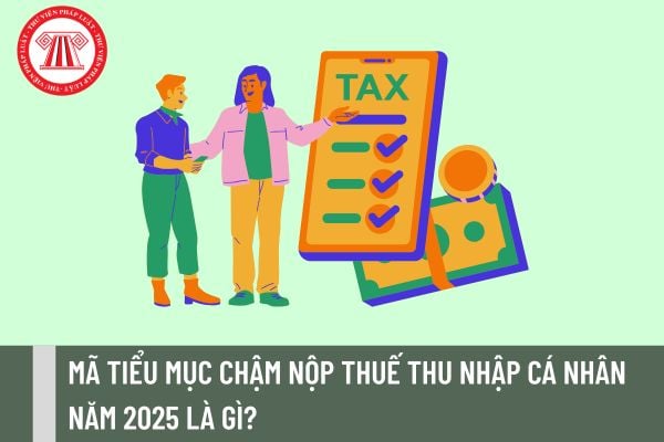 Pháp luật