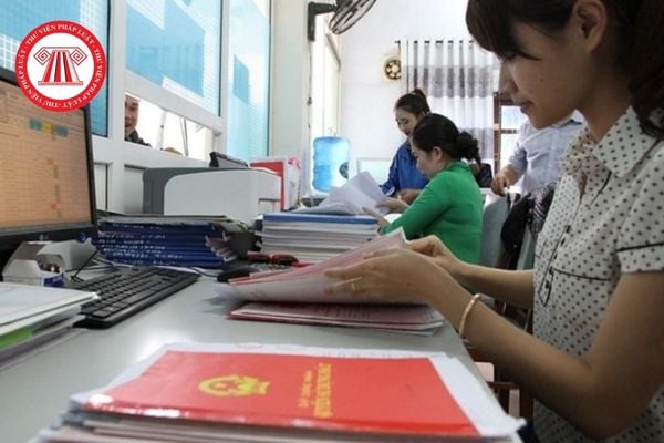 Pháp luật