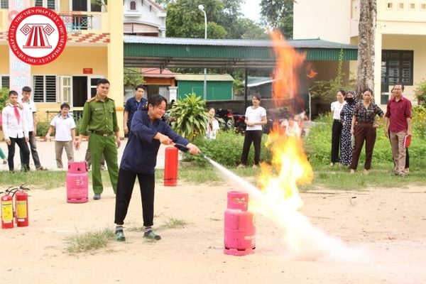 Pháp luật
