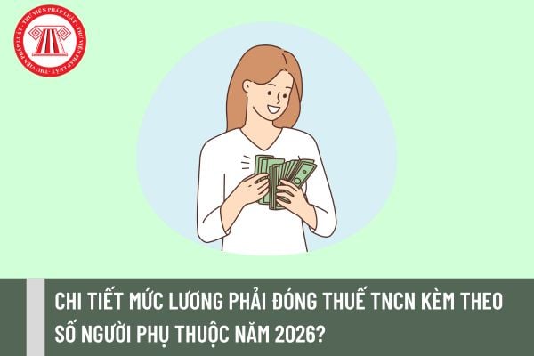 Pháp luật