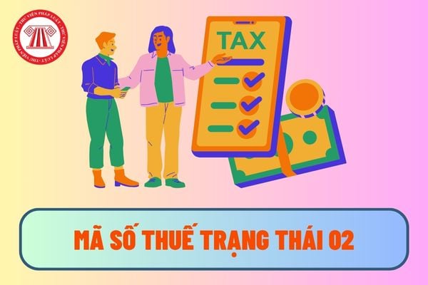 Pháp luật