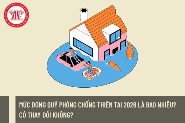Pháp luật