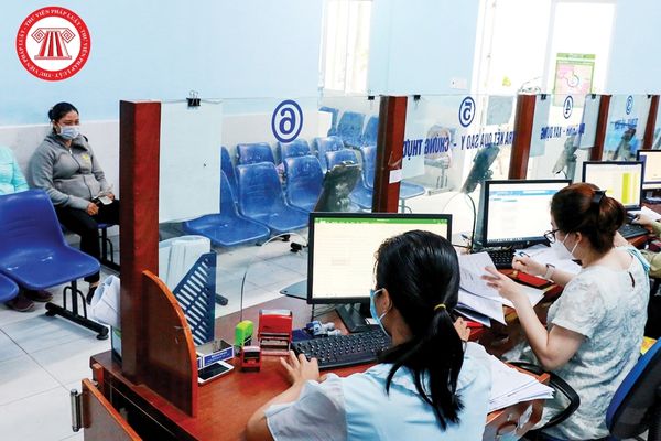 Pháp luật
