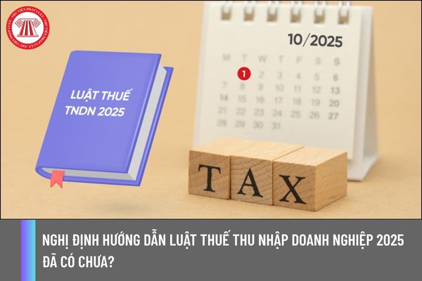 Nghị định hướng dẫn Luật Thuế thu nhập doanh nghiệp 2025 đã có chưa?