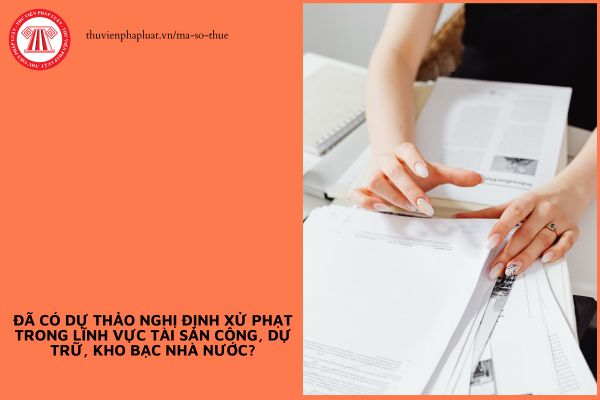 Pháp luật