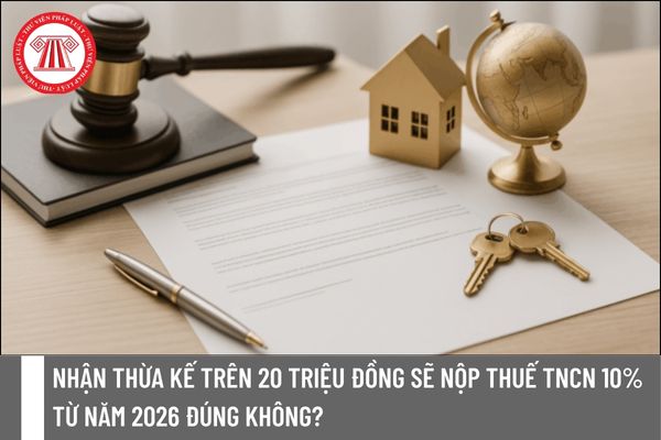 Pháp luật