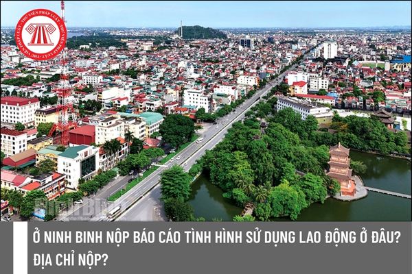 Pháp luật