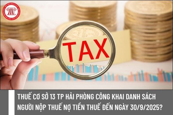 Pháp luật