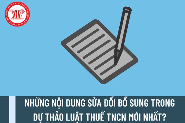 Pháp luật