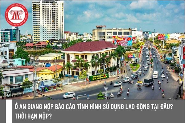 Pháp luật
