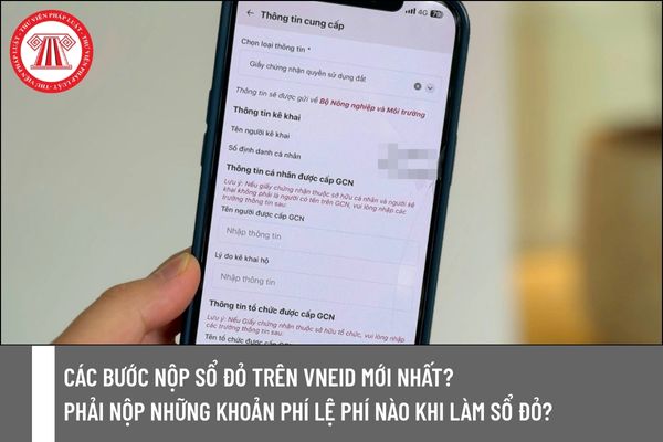 Pháp luật