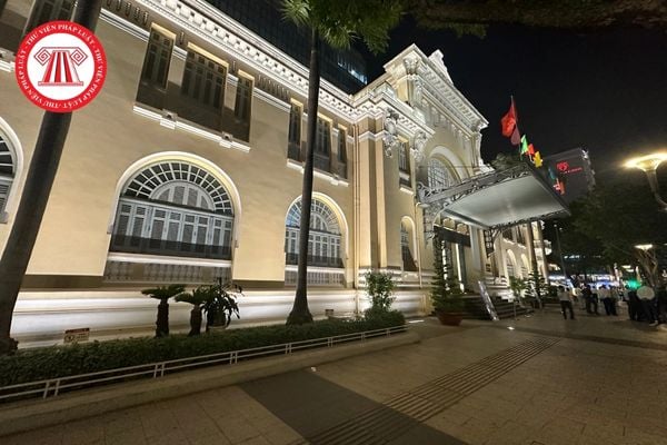 Pháp luật