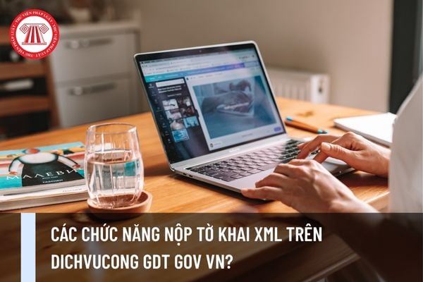 Pháp luật