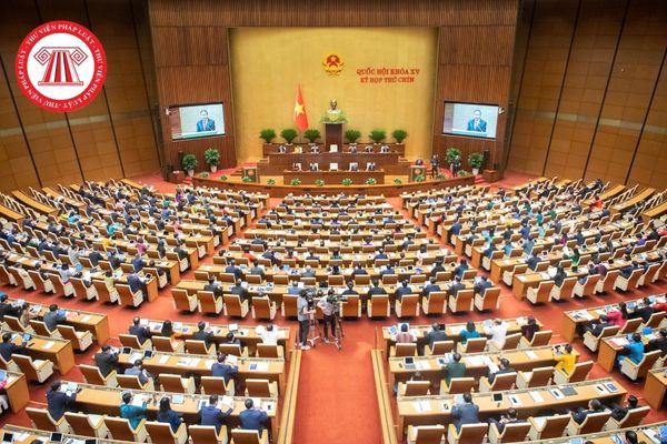 Pháp luật