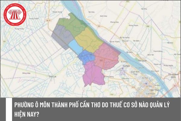 Pháp luật