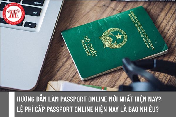 Pháp luật
