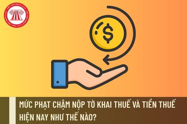 Pháp luật