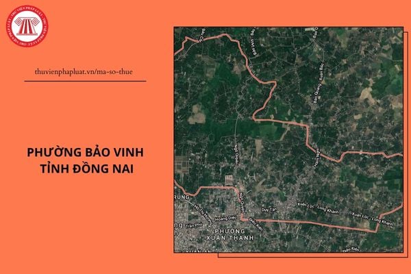 Pháp luật