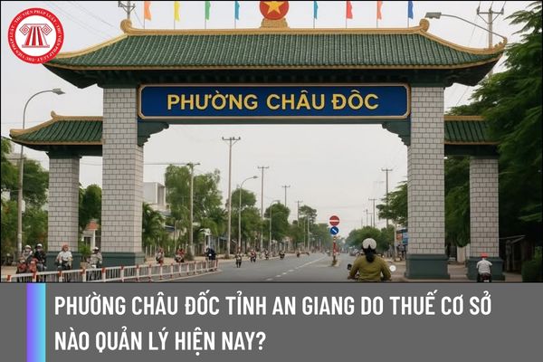 Pháp luật