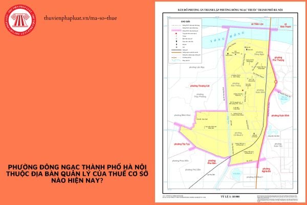 Pháp luật