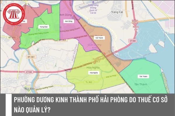 Pháp luật