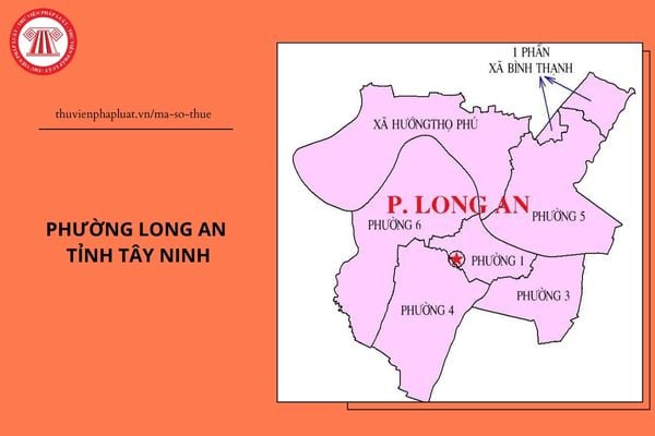 Pháp luật