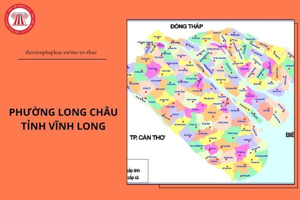Pháp luật