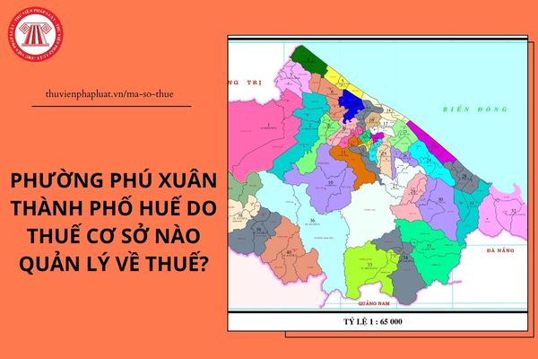 Pháp luật