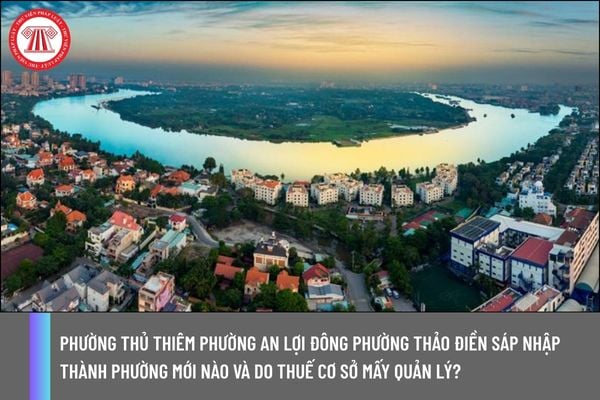 Pháp luật