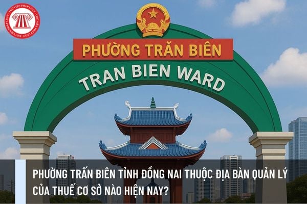 Pháp luật