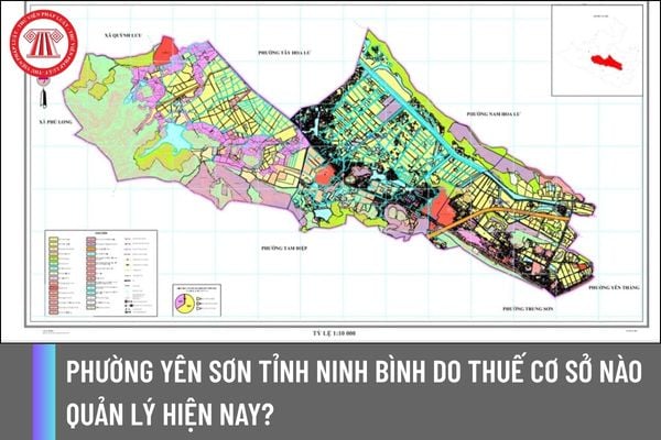 Pháp luật