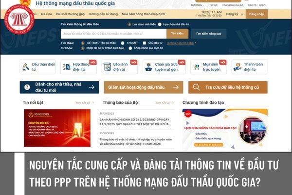 Pháp luật