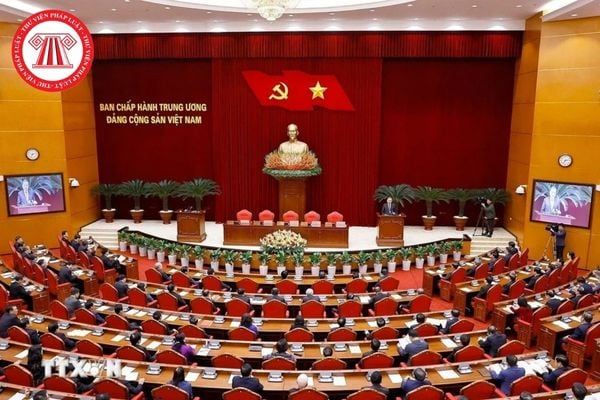 Pháp luật