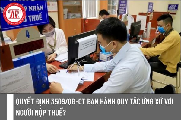 Pháp luật