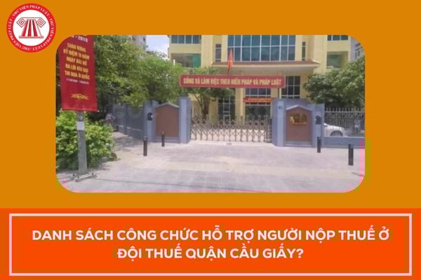 Pháp luật