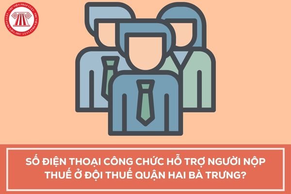 Pháp luật