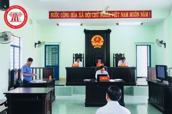 Pháp luật