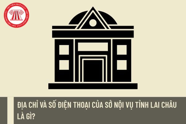 Pháp luật