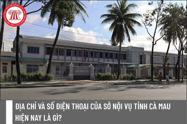 Pháp luật