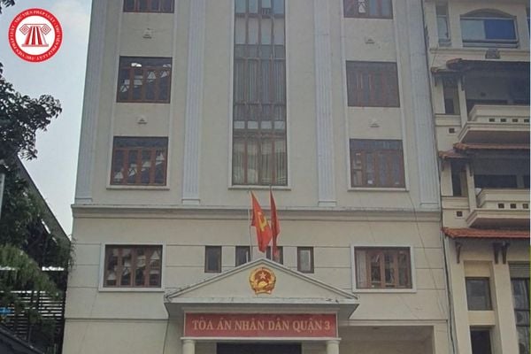 Pháp luật
