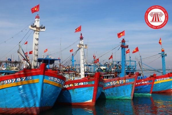 Pháp luật