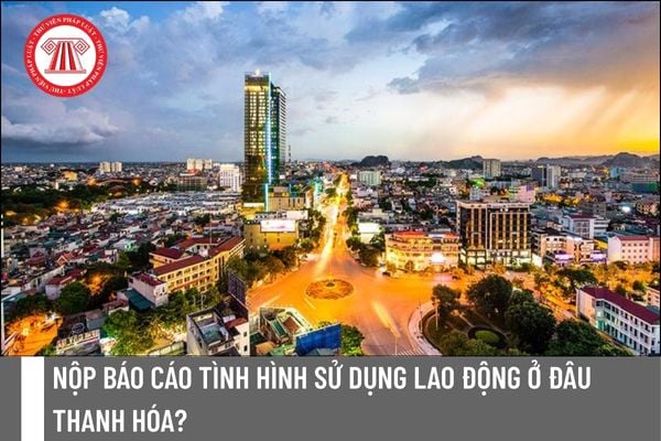 Pháp luật