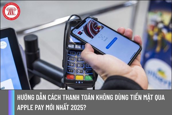 Pháp luật